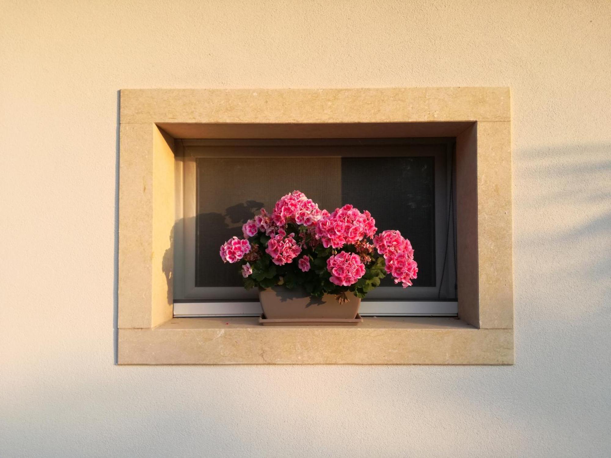Relais Colle San Giorgio Bed & Breakfast Bardolino Exterior photo