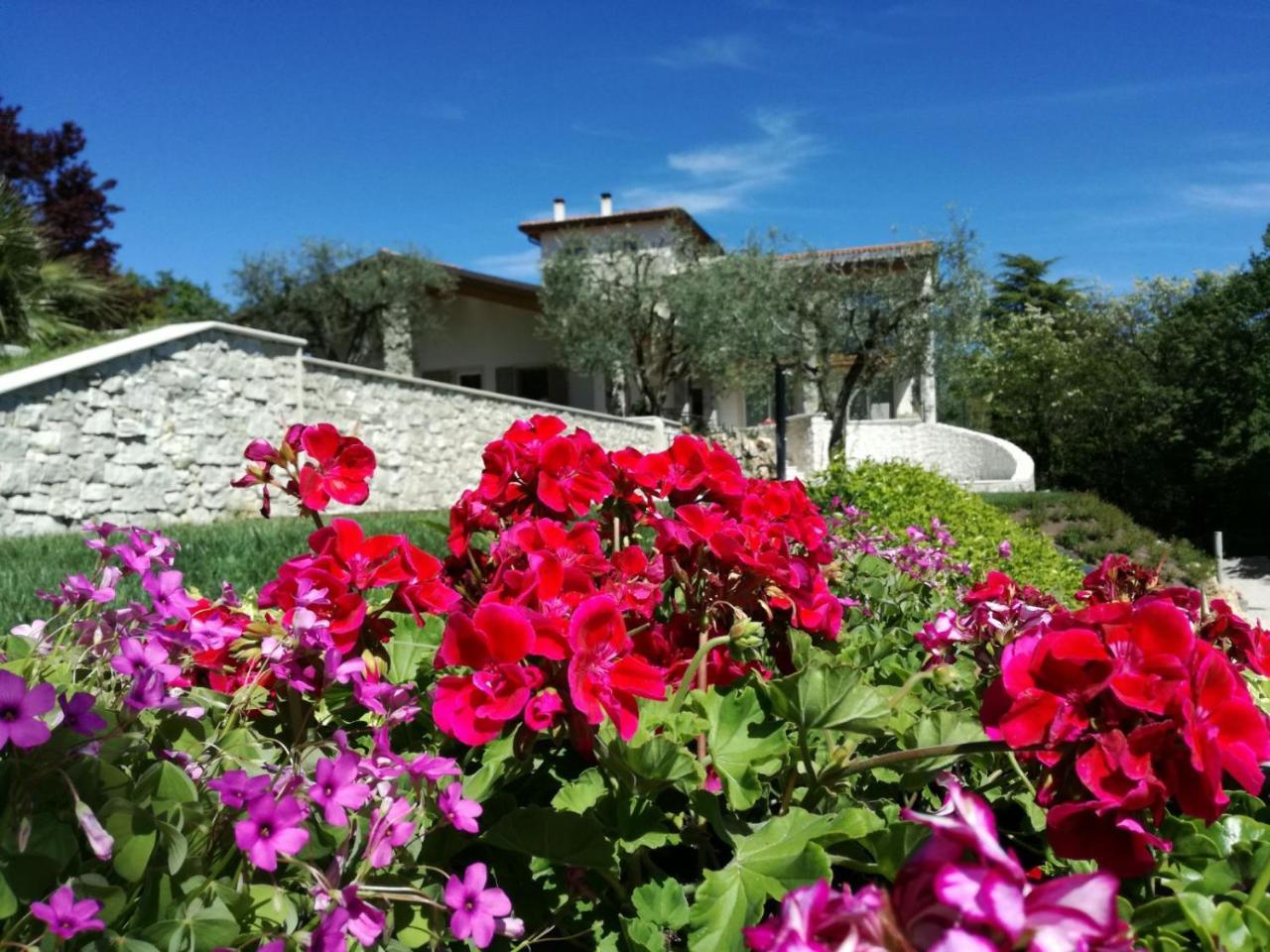 Relais Colle San Giorgio Bed & Breakfast Bardolino Exterior photo
